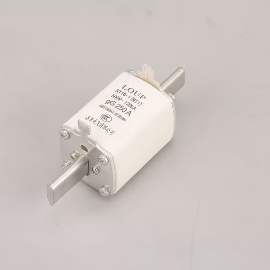 Nh Series Double Indicators Fuse 4