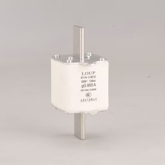 Nh Series Double Indicators Fuse 4-630A 500/690V AC Fuse Gg/Gl Fuses Cylinder Fast Acting Fuse for Electric Power